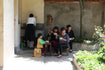 A Tea Garden Without Pesticides, Herbicides, or Chemical Fertilisers