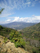 Tea mountains: Mengsong & Nannuo