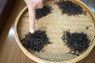 Wuyi Rock teas: Native farmer, exclusive producer and organic tea factory