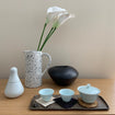 Exploring Jingdezhen, the Porcelain Capital